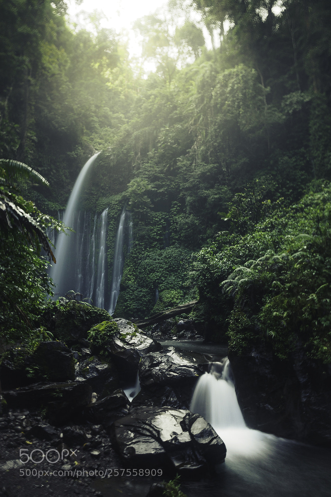 Olympus OM-D E-M5 II sample photo. Sendang gile on lombok photography
