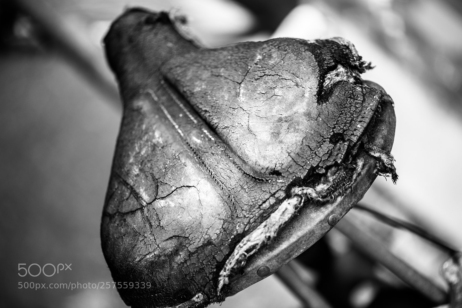 Nikon D610 sample photo. Selle photography