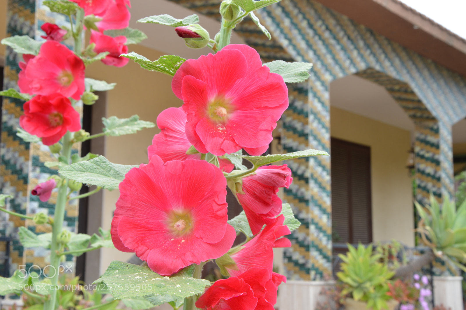 Nikon D3200 sample photo. Dsc photography