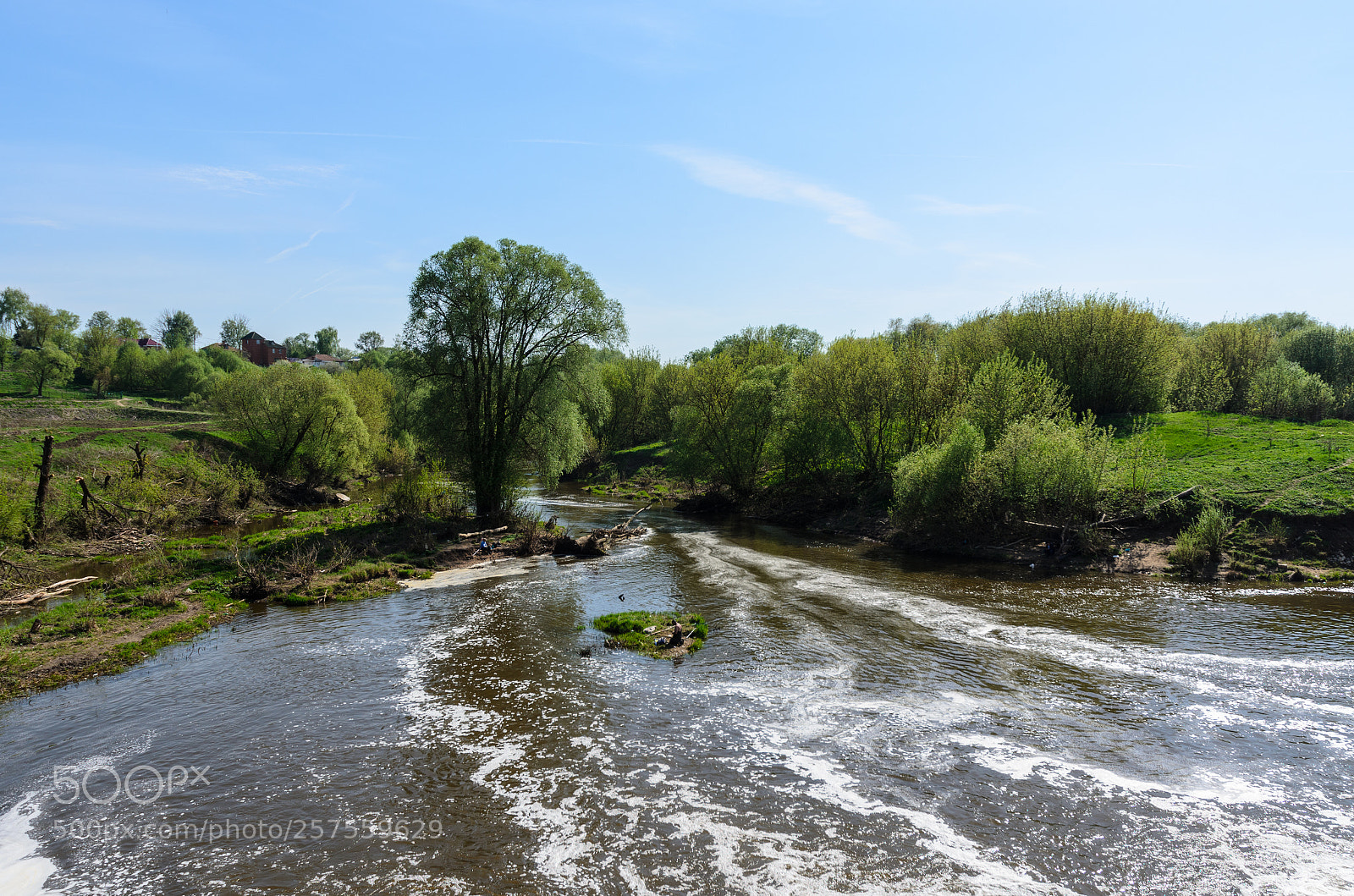 Nikon D5100 sample photo. 385 photography