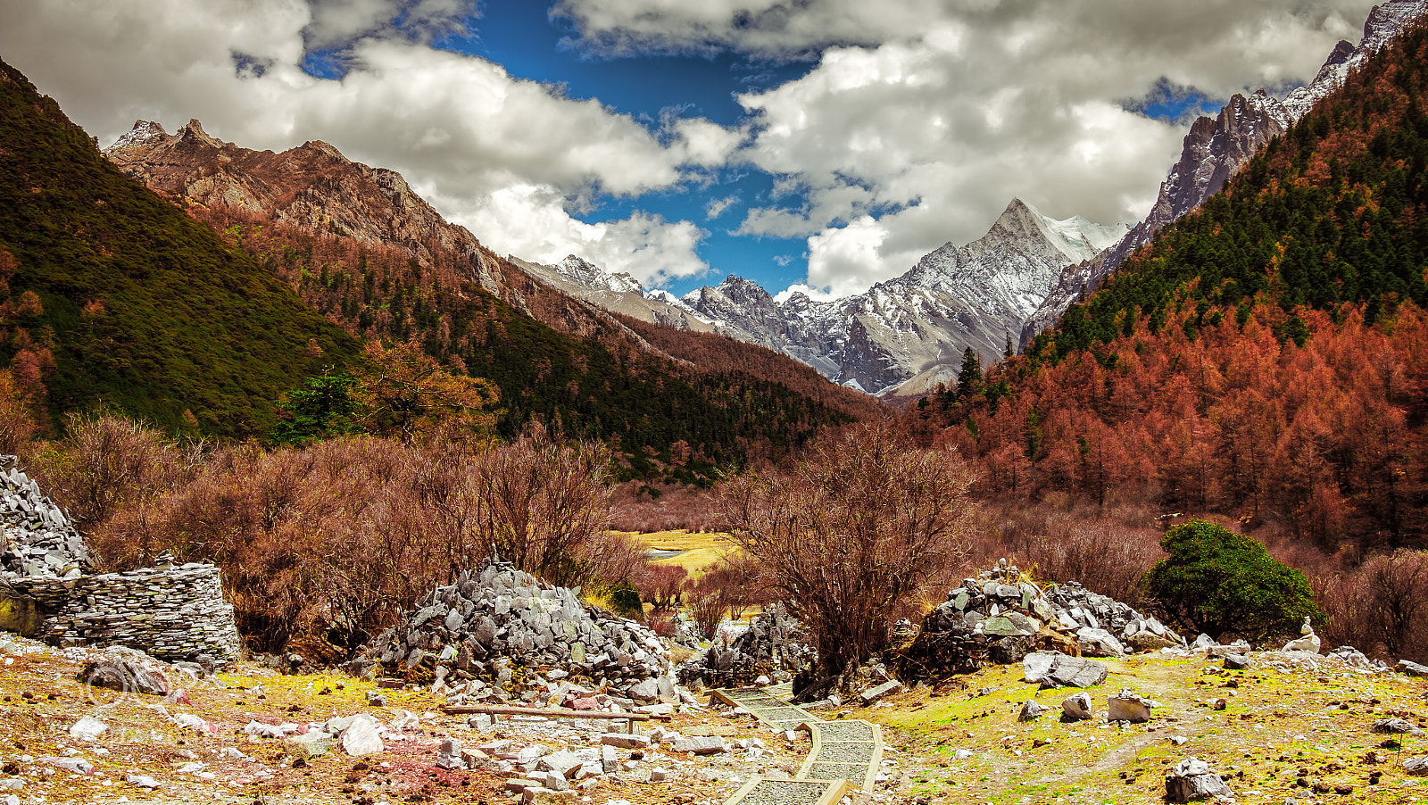 Olympus OM-D E-M1 Mark II sample photo. Yading nature reserve of photography