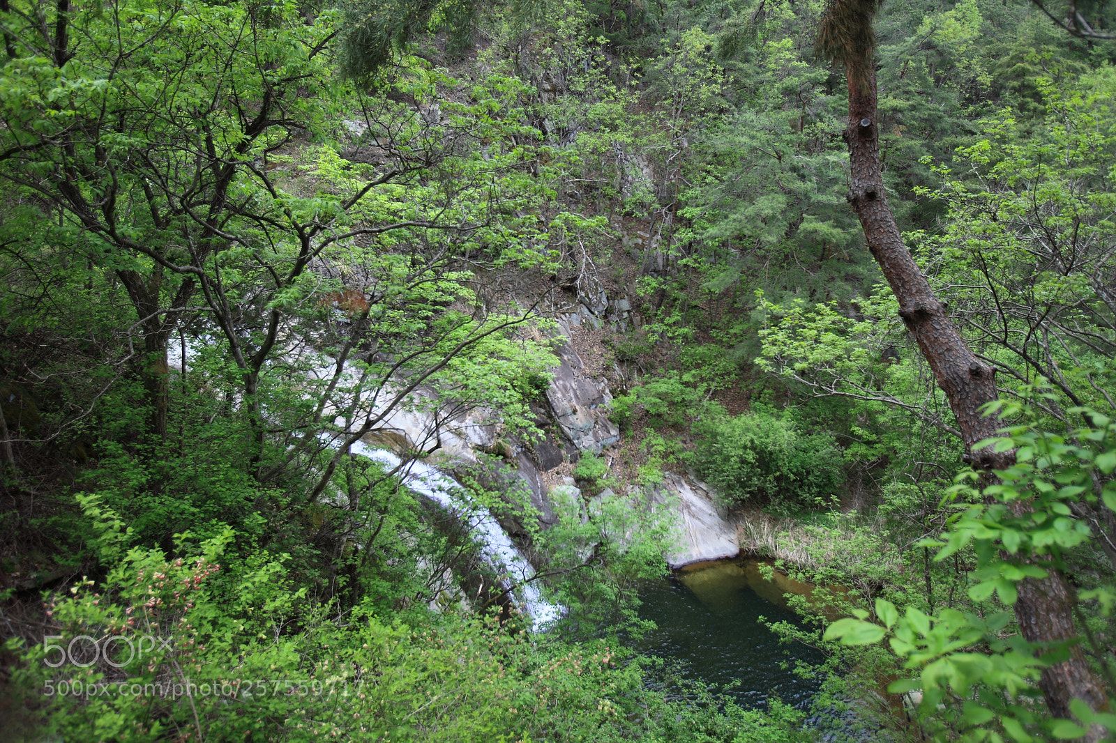 Canon EOS 5D Mark II sample photo. Waterfall photography