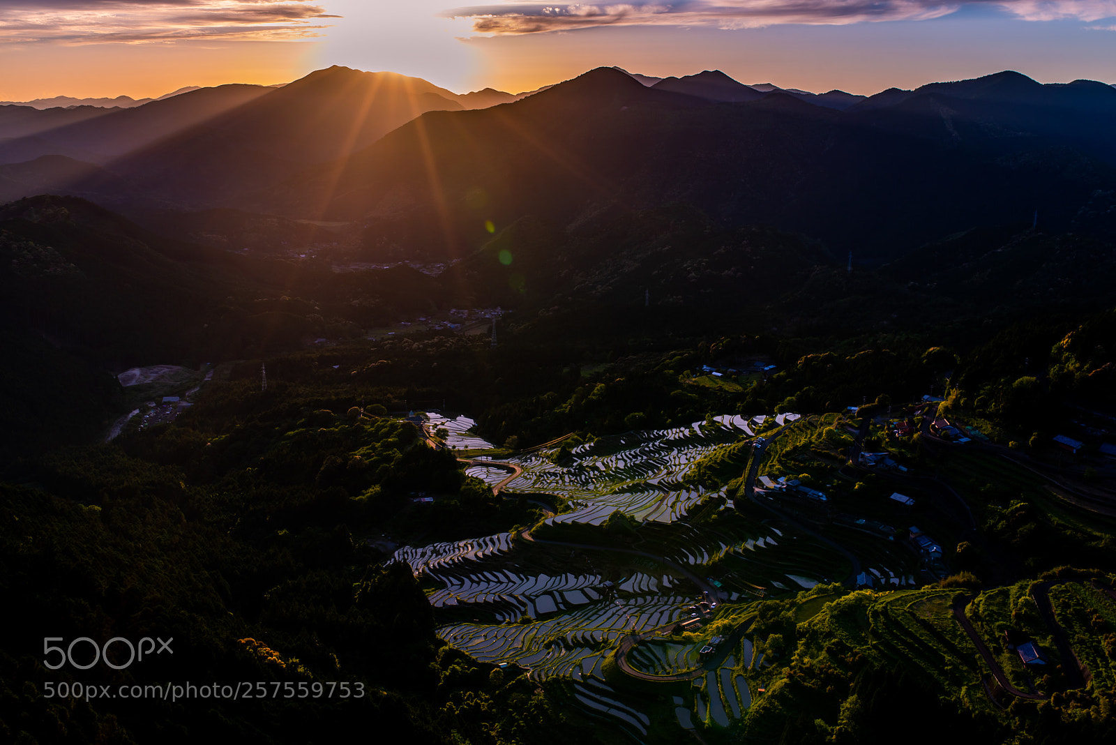 Nikon D750 sample photo. Rice terrace sunset photography