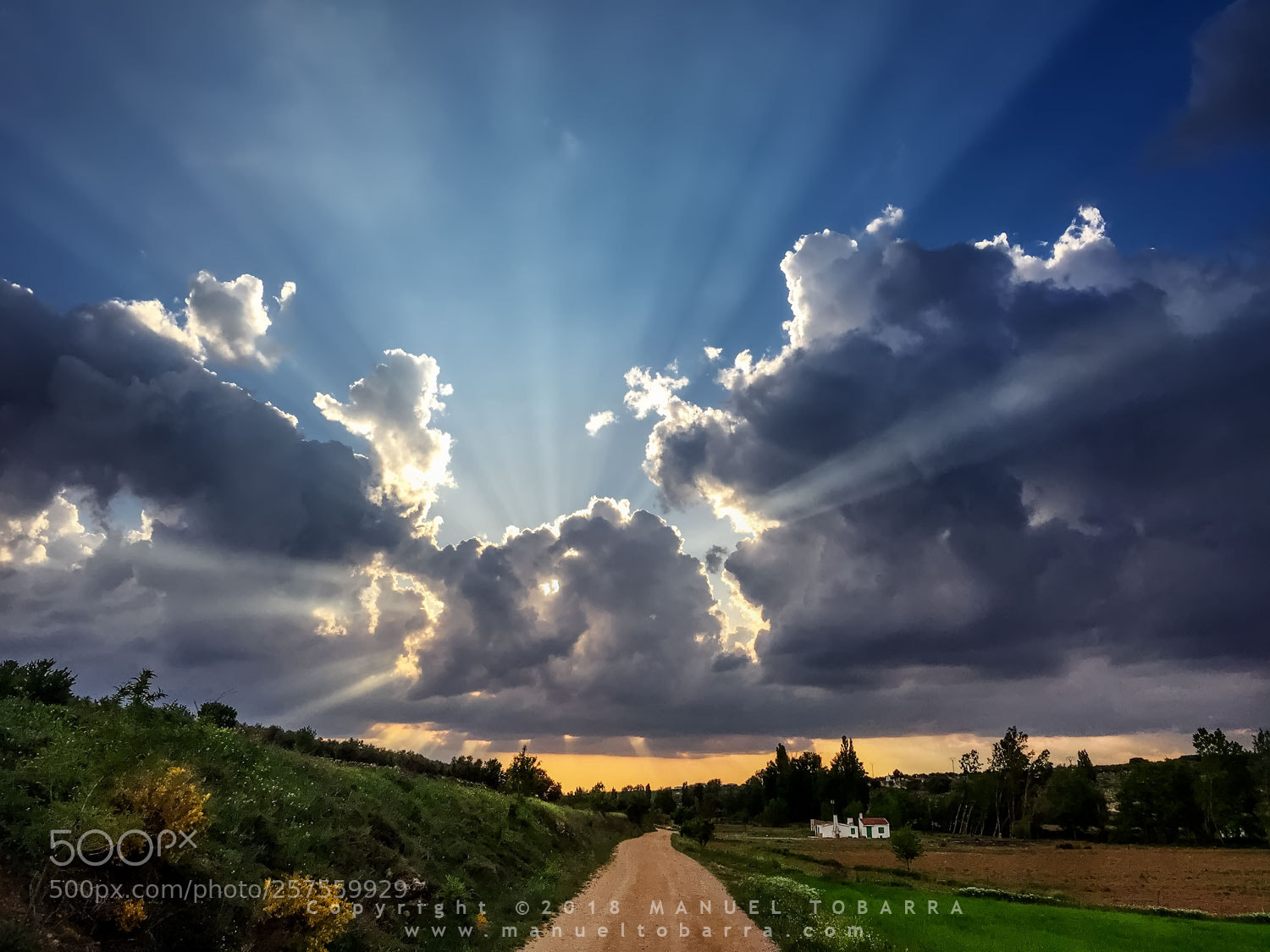 Apple iPhone 6 sample photo. Sunset photography