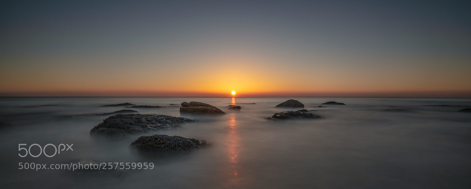 Nikon D750 sample photo. Ttt () photography