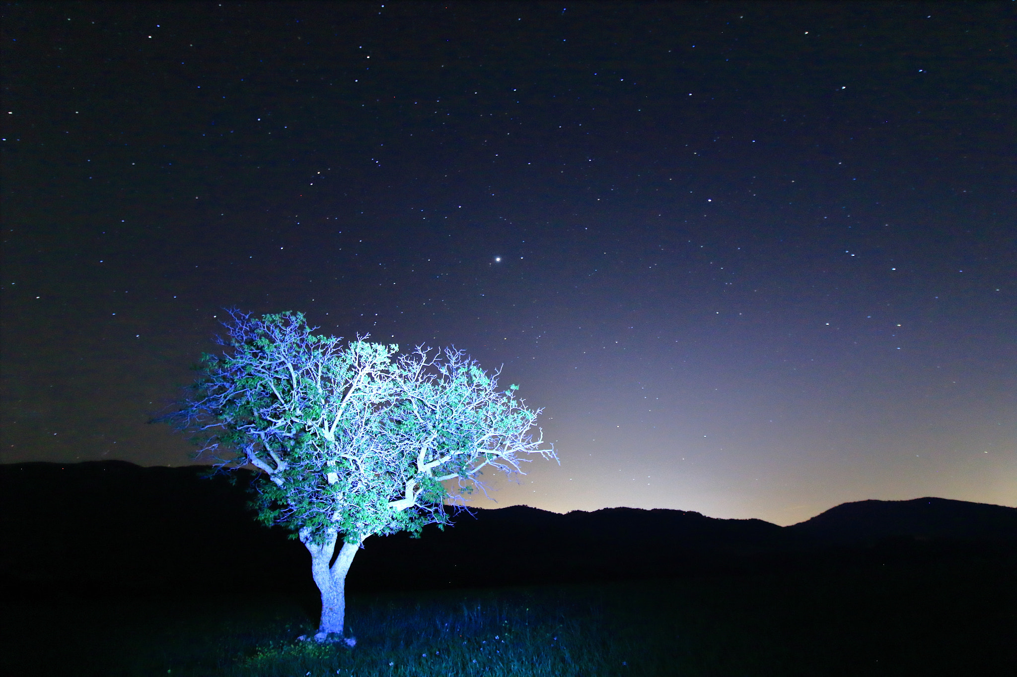 Canon EOS 1300D (EOS Rebel T6 / EOS Kiss X80) sample photo. Nocturnas ibi photography