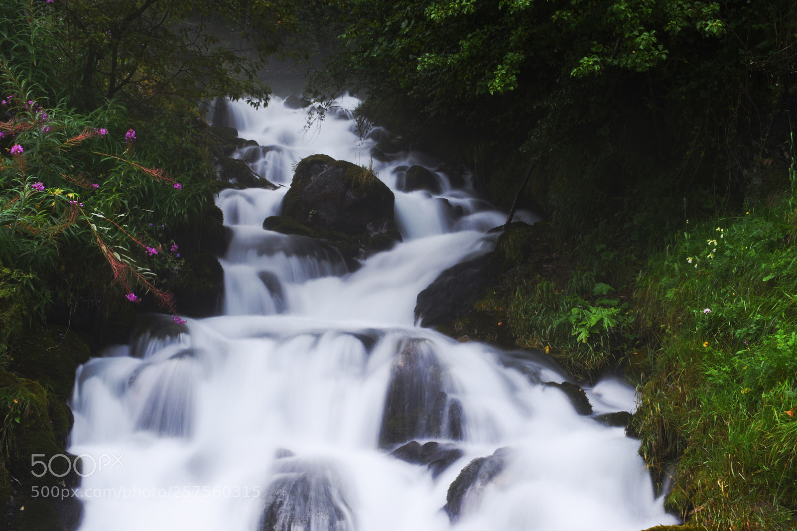 Nikon D5500 sample photo. Awesome spot are always photography