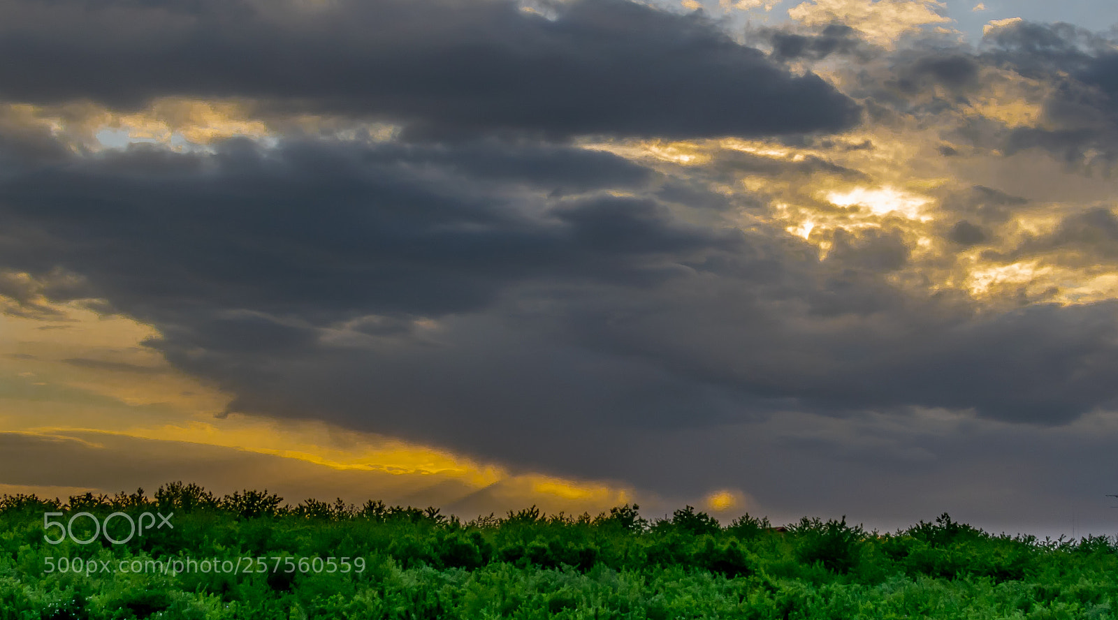 Nikon D5300 sample photo. Storm afoot photography