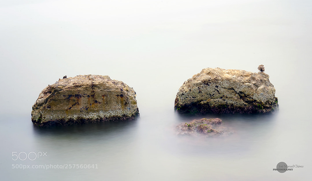 Nikon D7000 sample photo. Rocas y mar photography