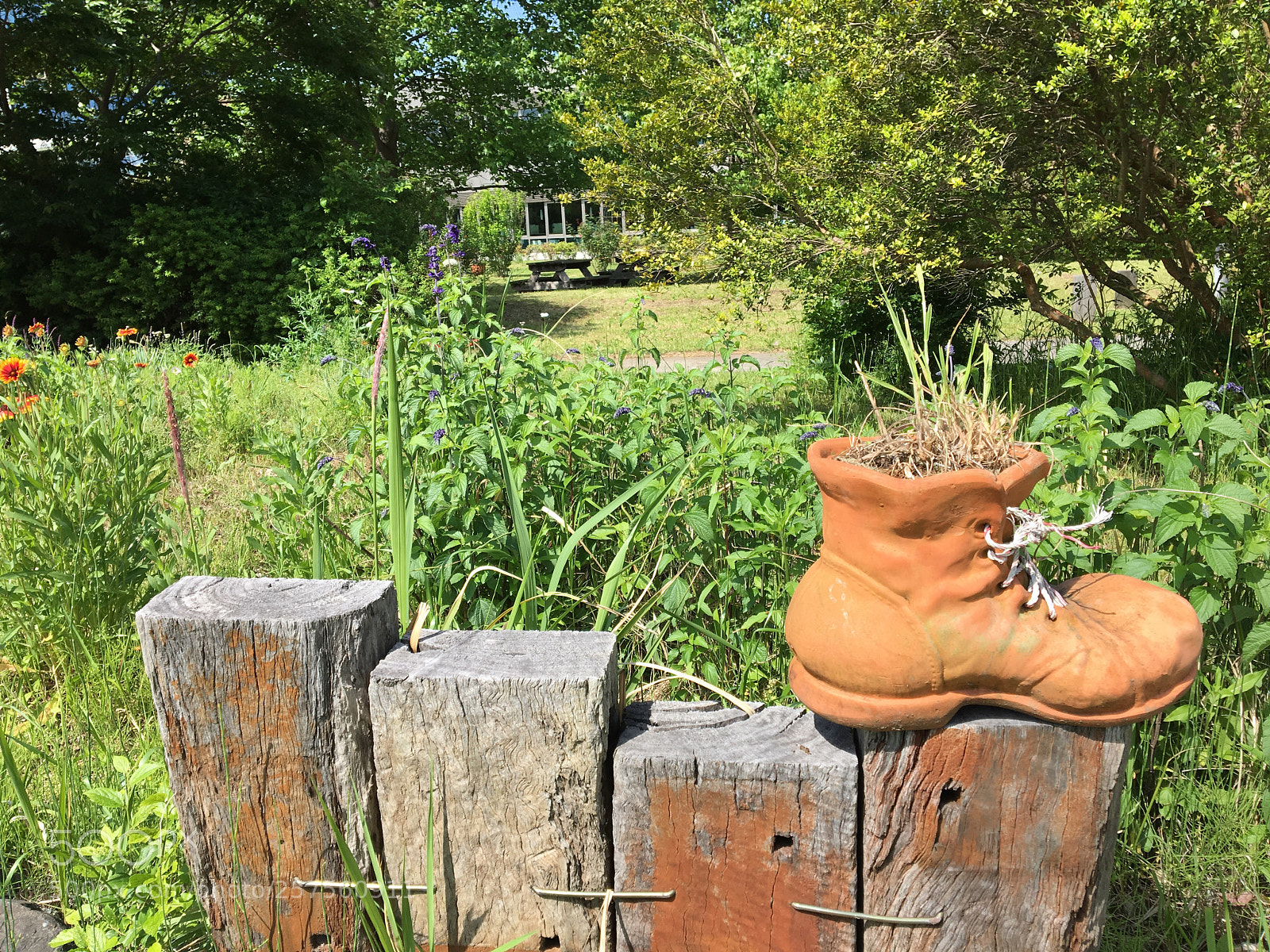 Apple iPhone 6s sample photo. The other shoe photography