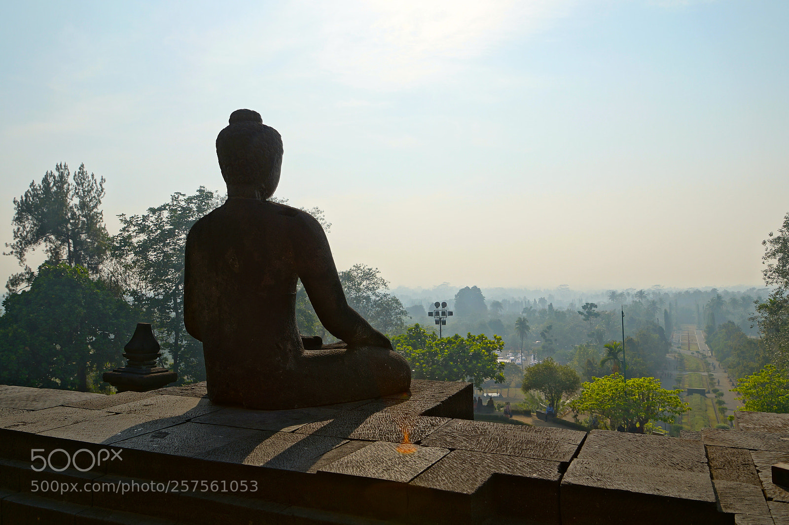Sony SLT-A58 sample photo. Buddha facing the jungle photography