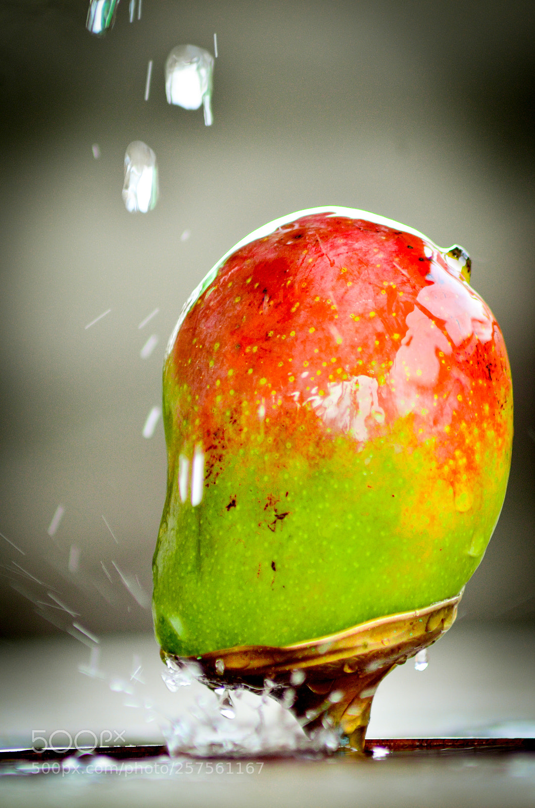 Nikon D5100 sample photo. Untitled photography