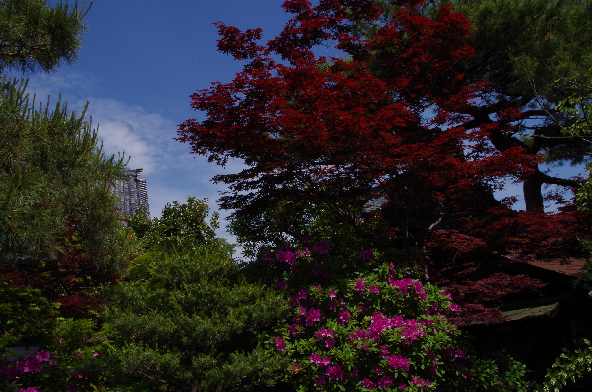 Pentax K-30 sample photo. At a corner in a temple. photography