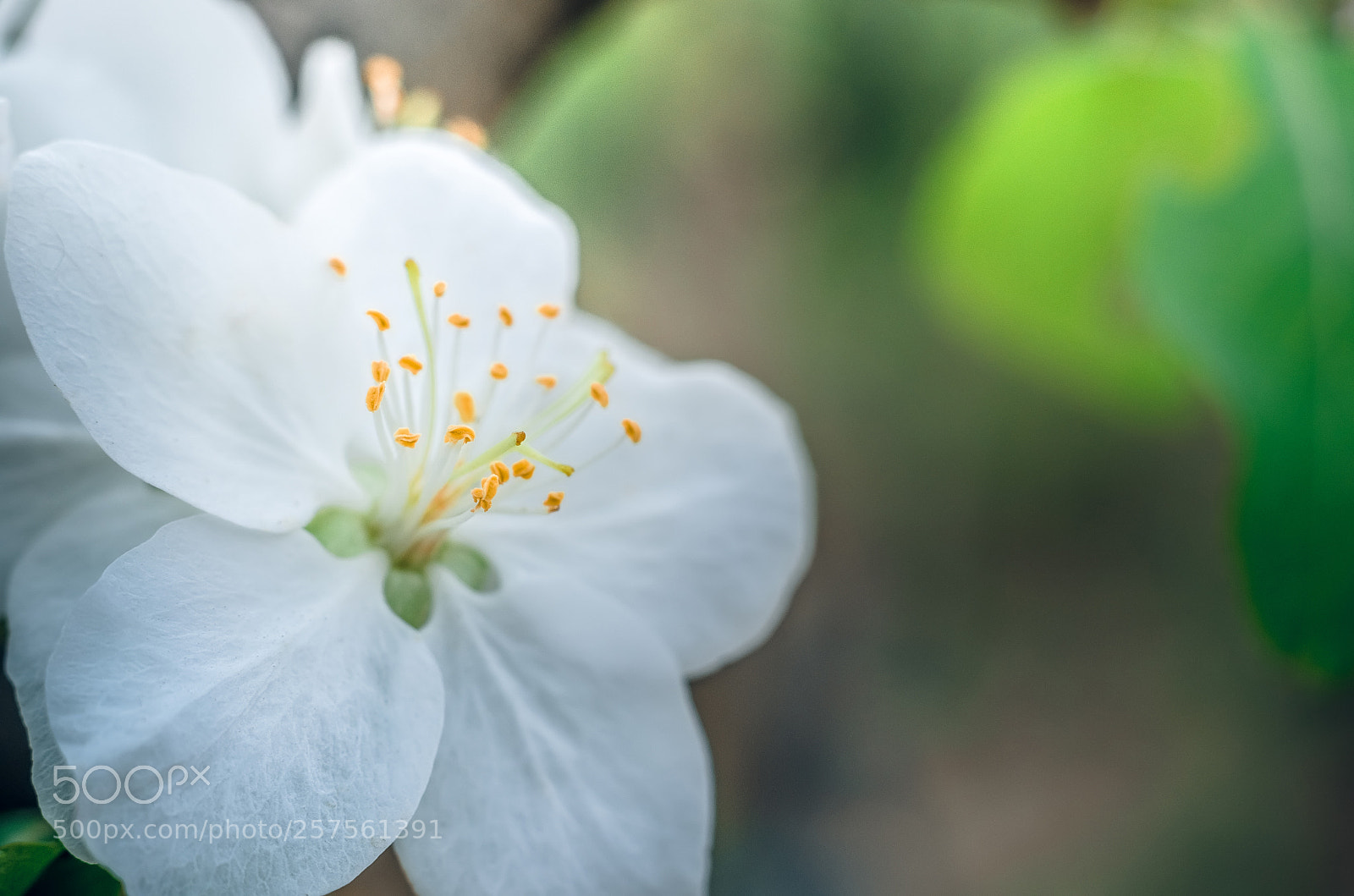 Nikon D7000 sample photo. Summer photography
