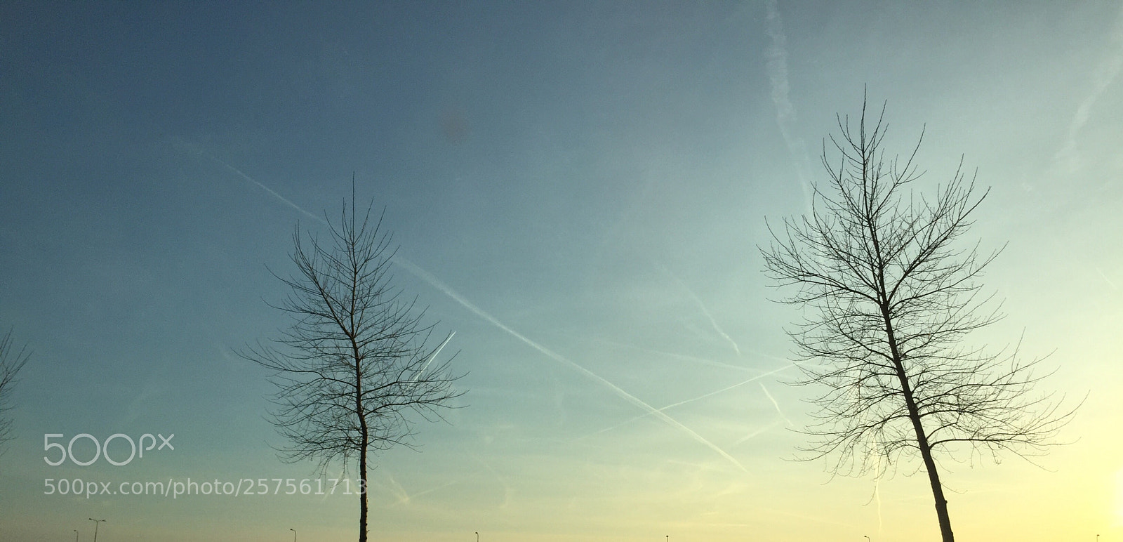 Apple iPhone 6 sample photo. Untitled photography