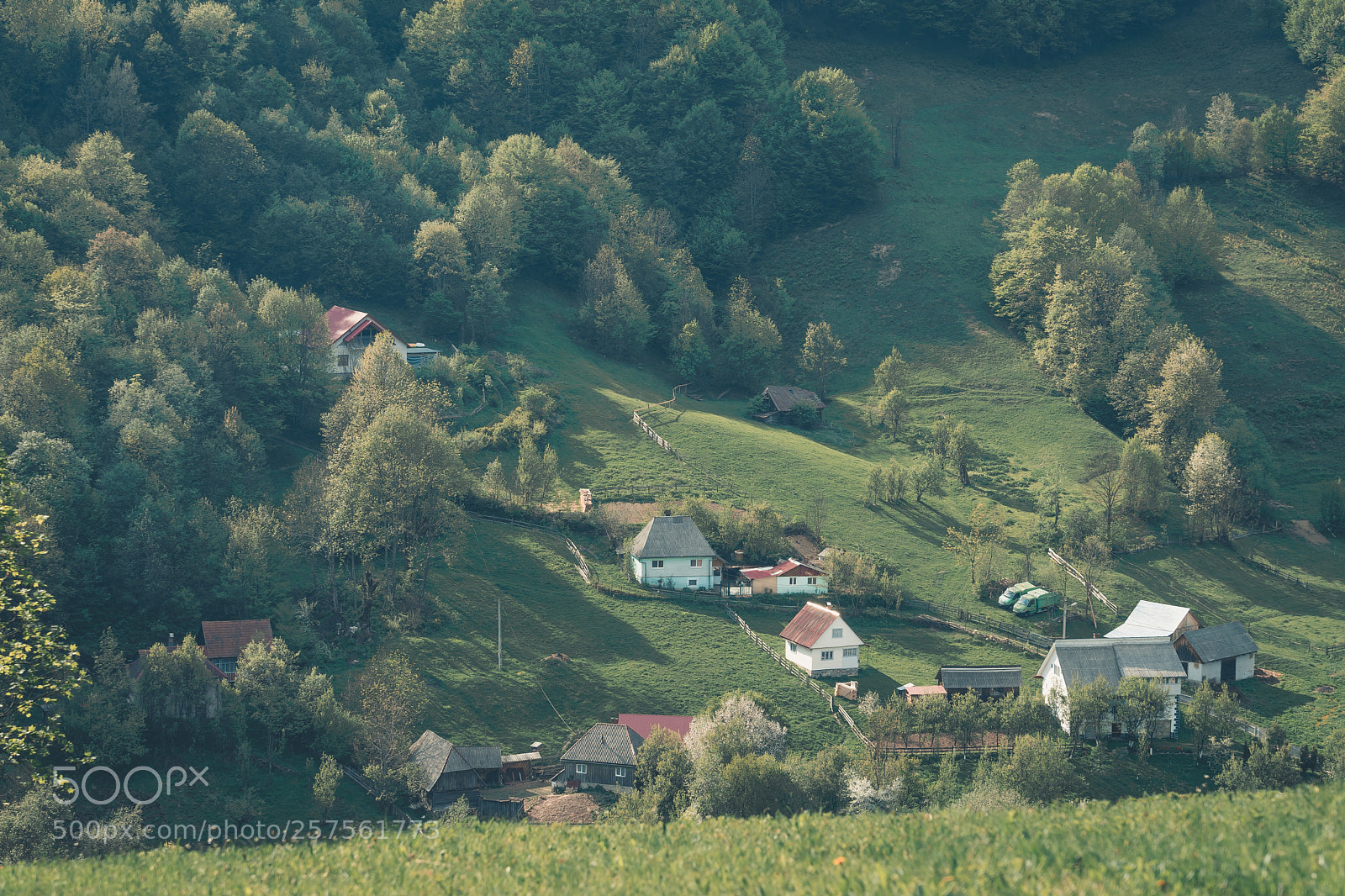 Sony a7 sample photo. Stray houses photography