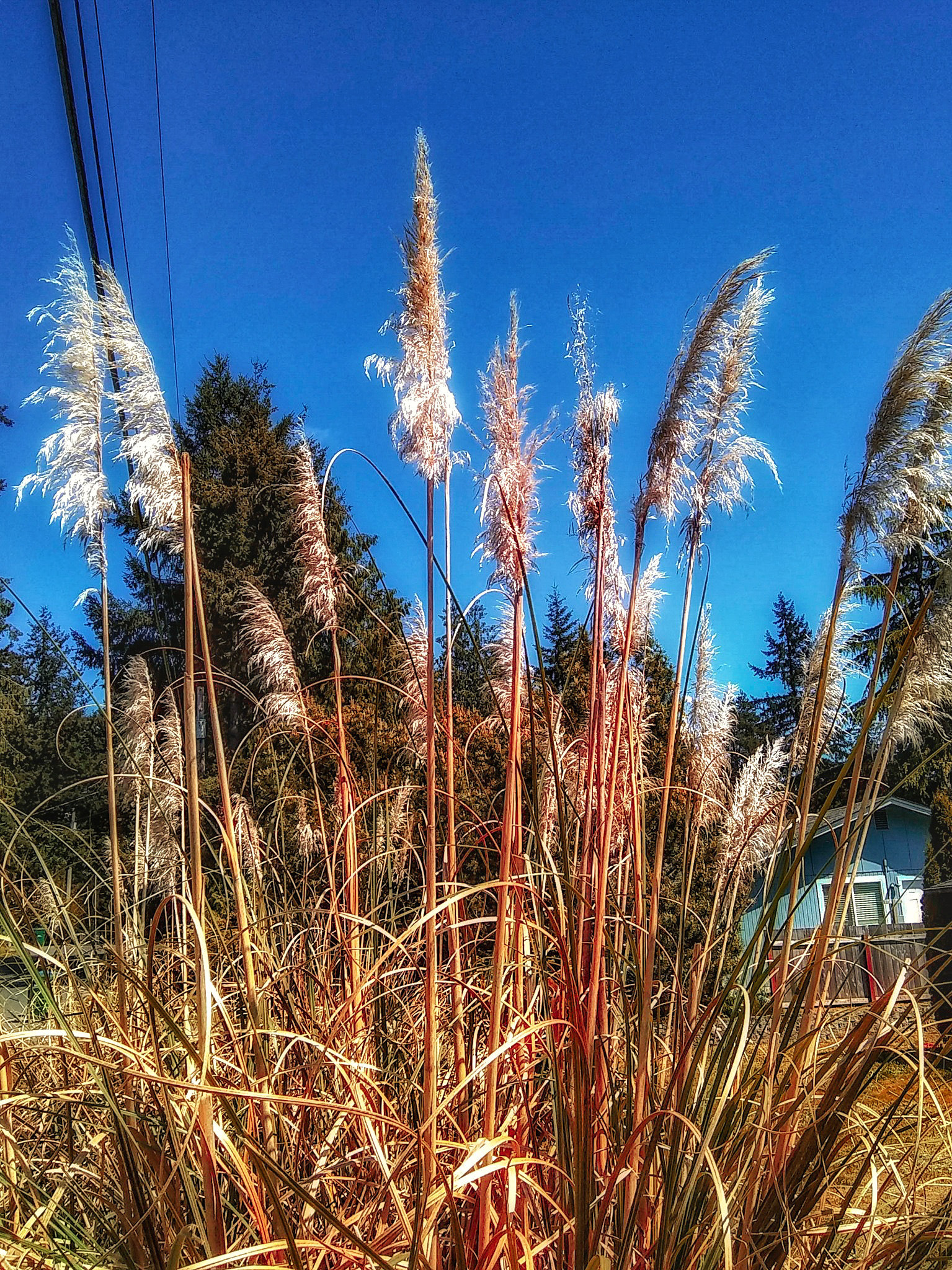 Motorola Moto E4 sample photo