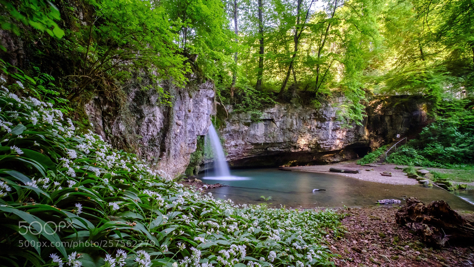 Fujifilm X-T2 sample photo. Wild garlic & waterfall photography