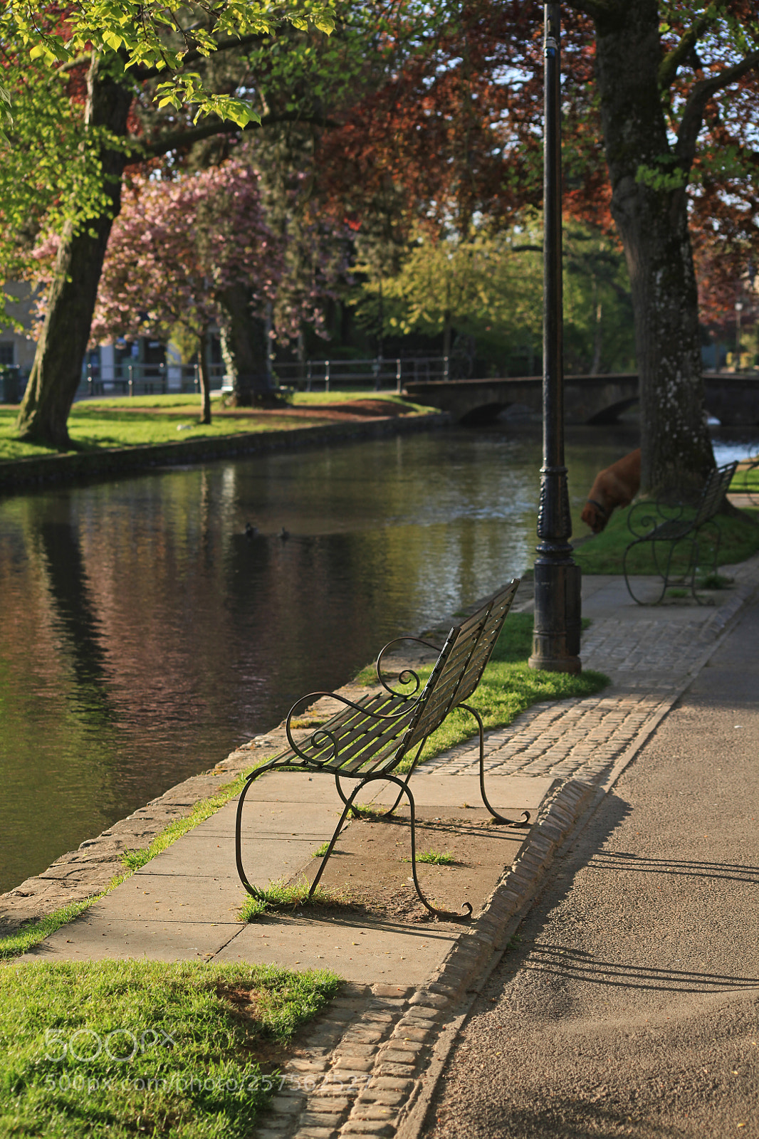 Canon EOS 5D Mark II sample photo. Take a seat photography