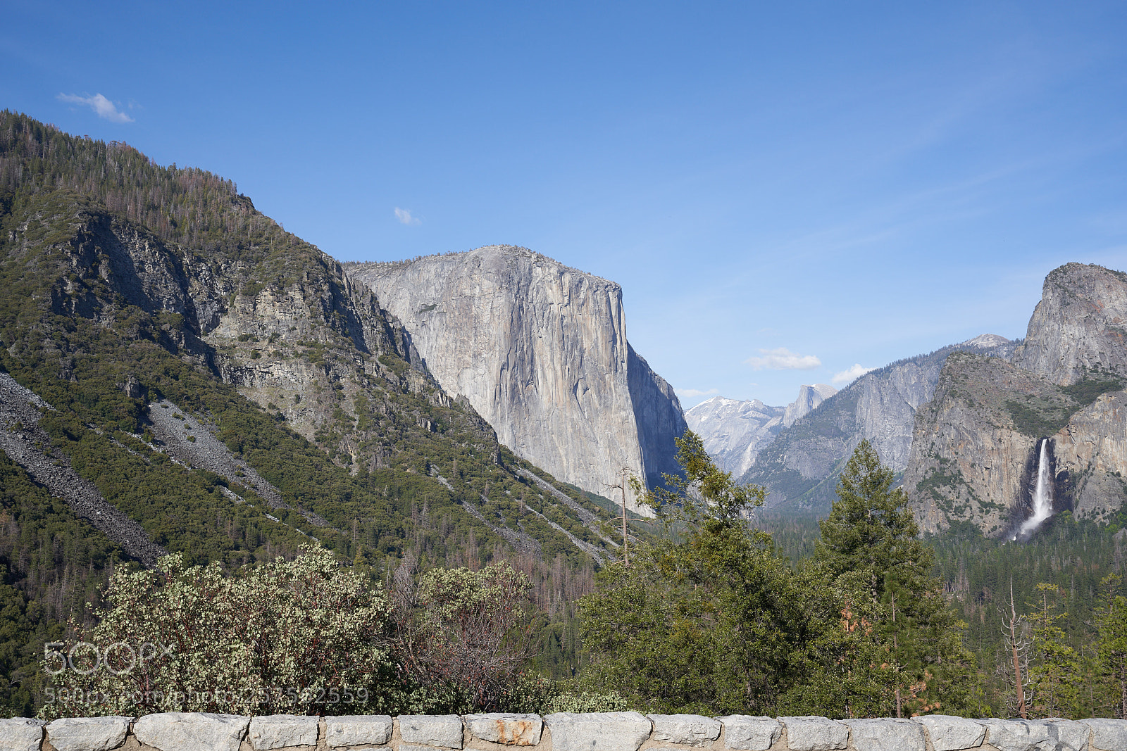 Sony a7R III sample photo. Yosemite photography