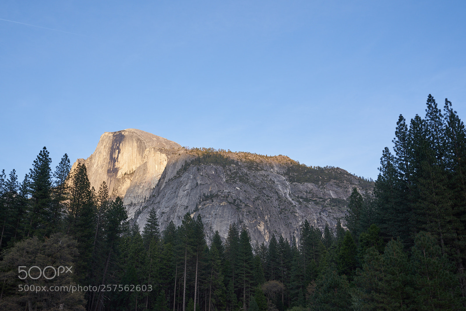 Sony a7R III sample photo. Yosemite photography