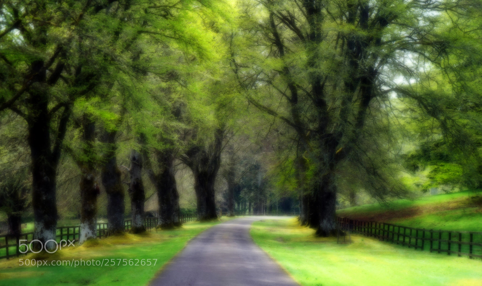 Sony a7 sample photo. Spring greens, scottish highlands photography