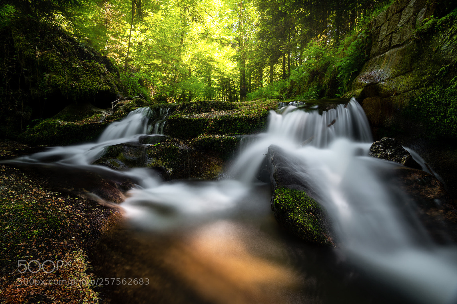 Nikon D850 sample photo. Pools of light photography