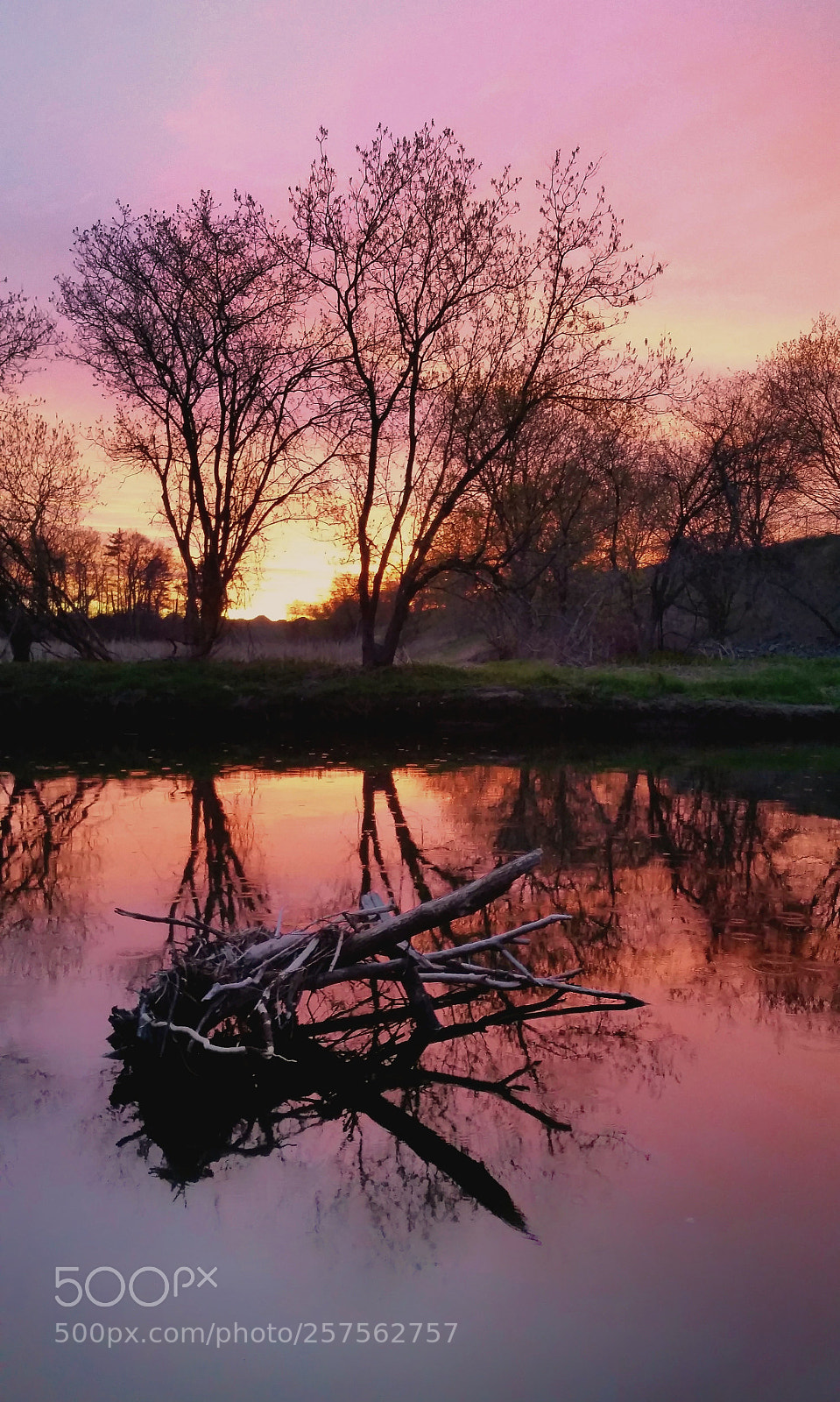 Samsung Galaxy S5 sample photo. Morning creek photography