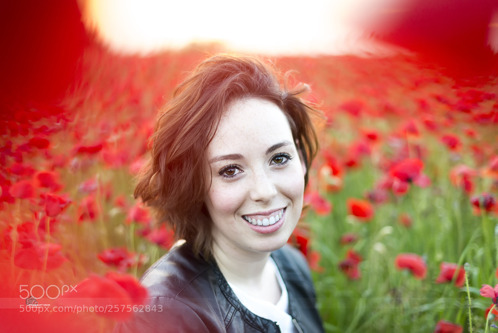 Nikon D610 sample photo. Color photography