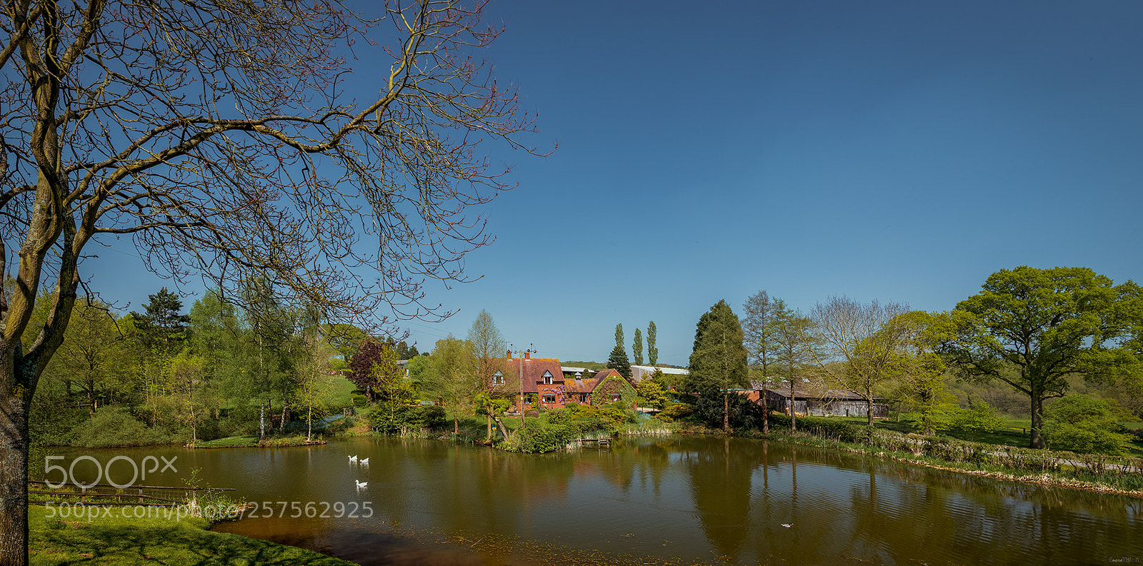 Nikon D850 sample photo. Bodenham arboretum. photography