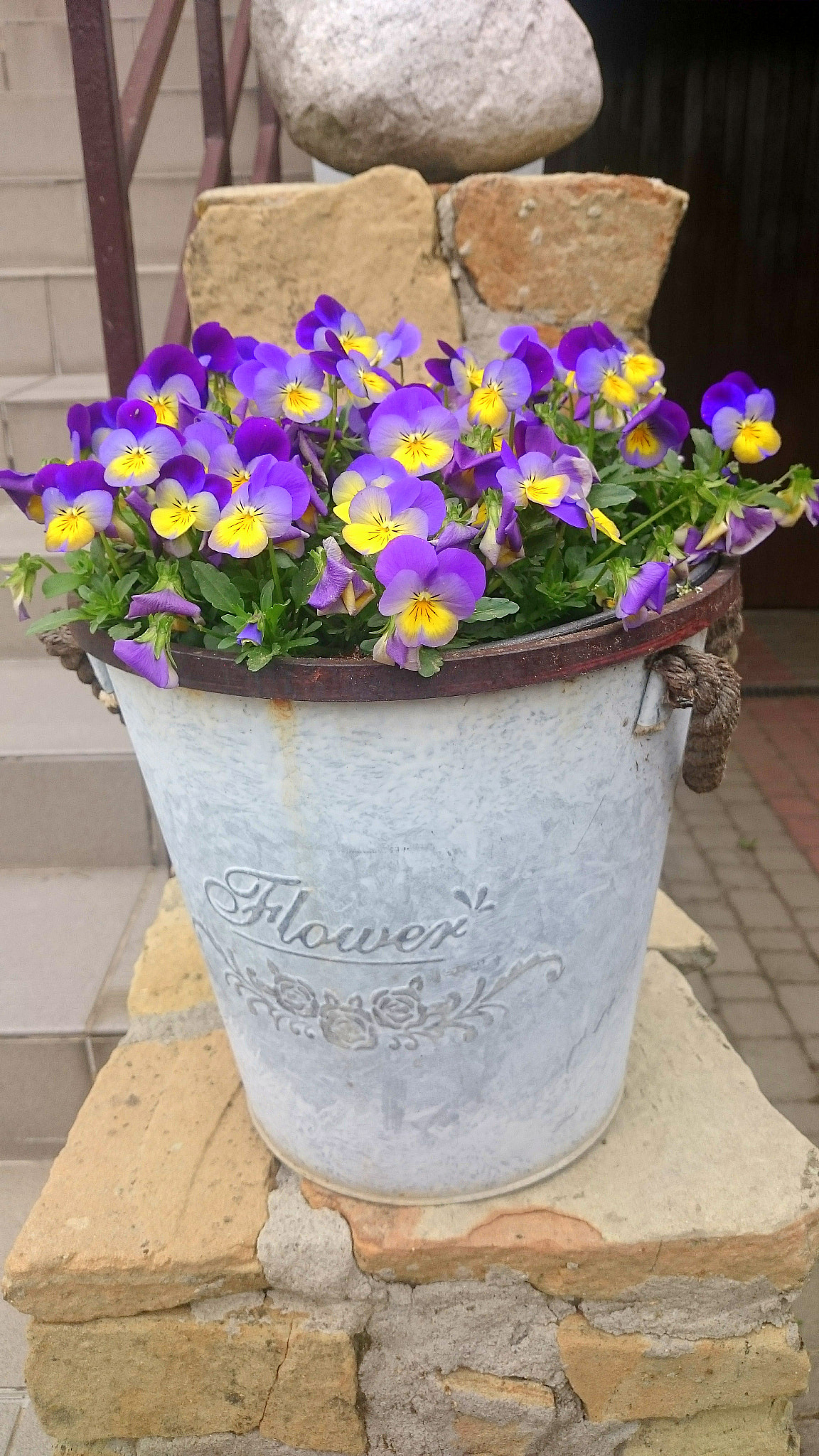 Sony Xperia Z2 sample photo. Flowers photography