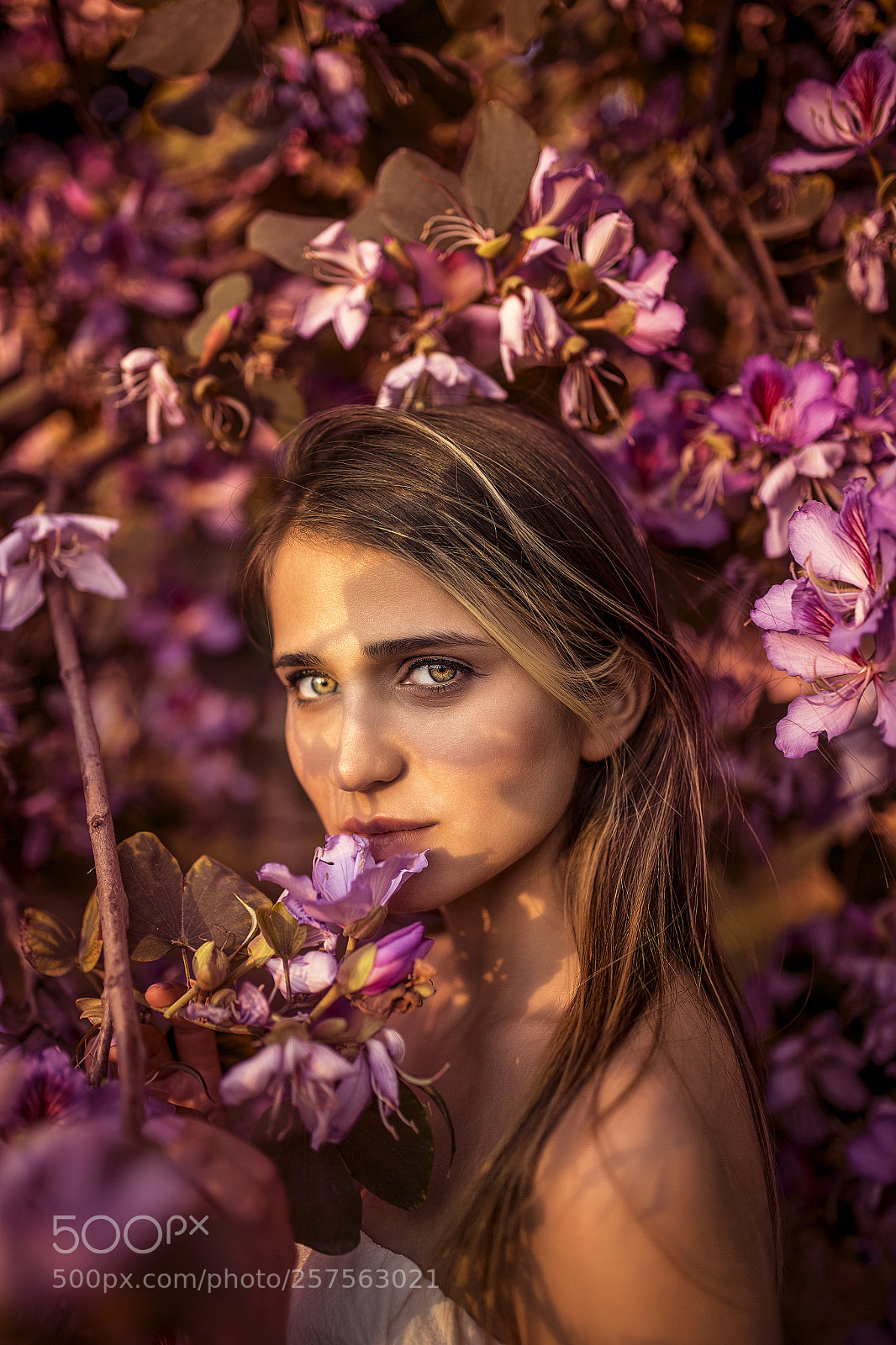 Canon EOS 6D sample photo. Flowers photography
