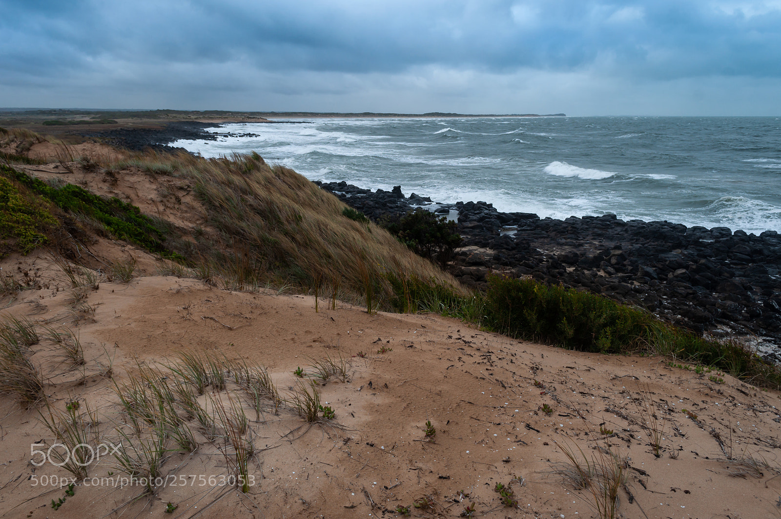 Nikon D5000 sample photo. Stormy day at barwon photography