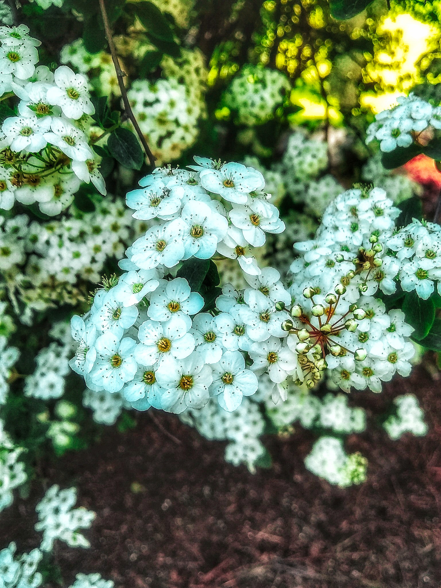 Motorola Moto E4 sample photo