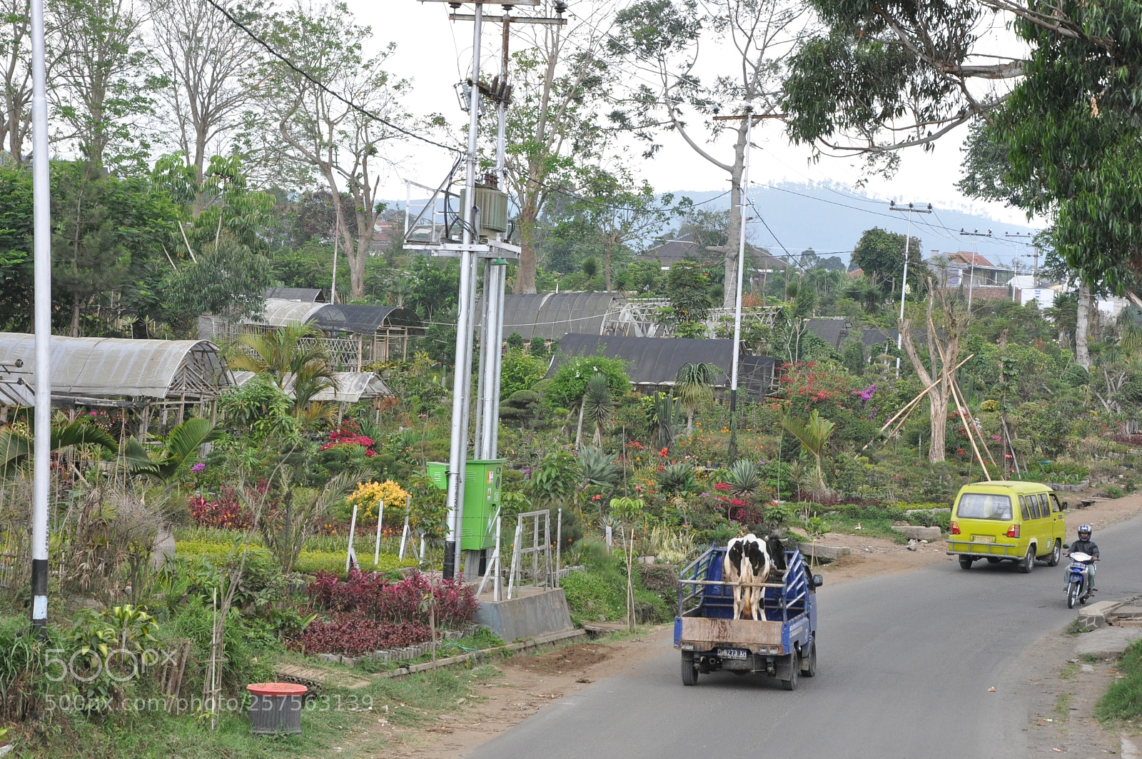 Nikon D90 sample photo. Streetview parongpong / lembang photography