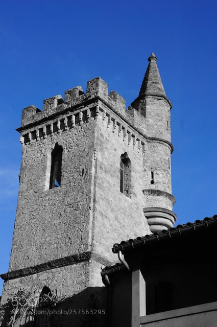 Sony Alpha NEX-5N sample photo. Citadel photography