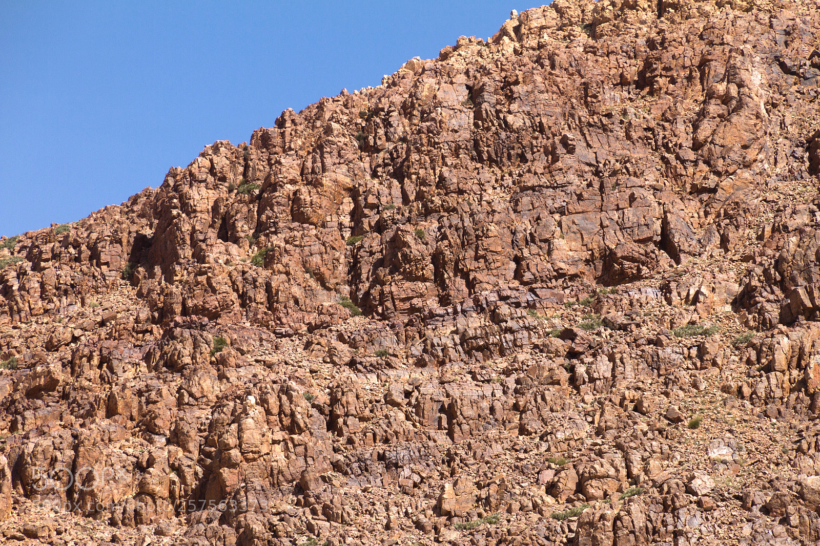 Canon EOS 7D sample photo. 2018-3913.jpg photography