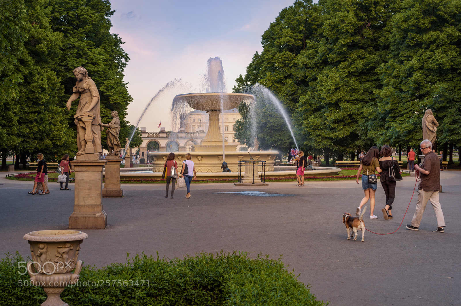 Nikon D7200 sample photo. The dog walker and photography