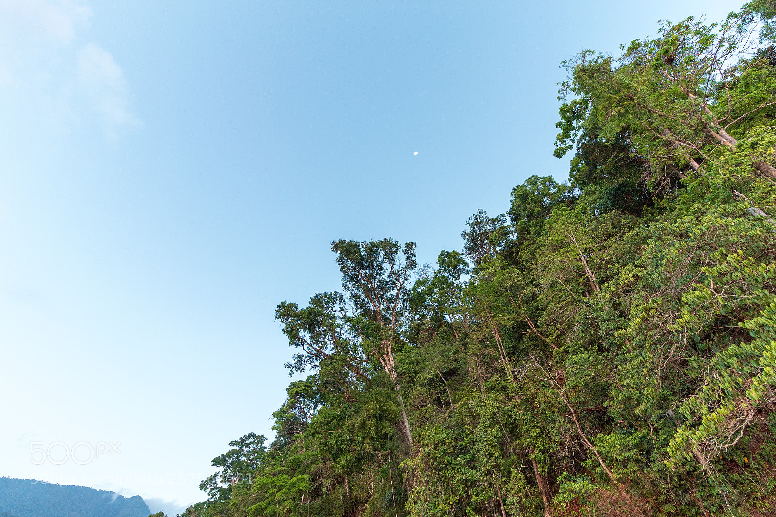 Canon EOS 1300D (EOS Rebel T6 / EOS Kiss X80) sample photo. The moon at ventanas photography
