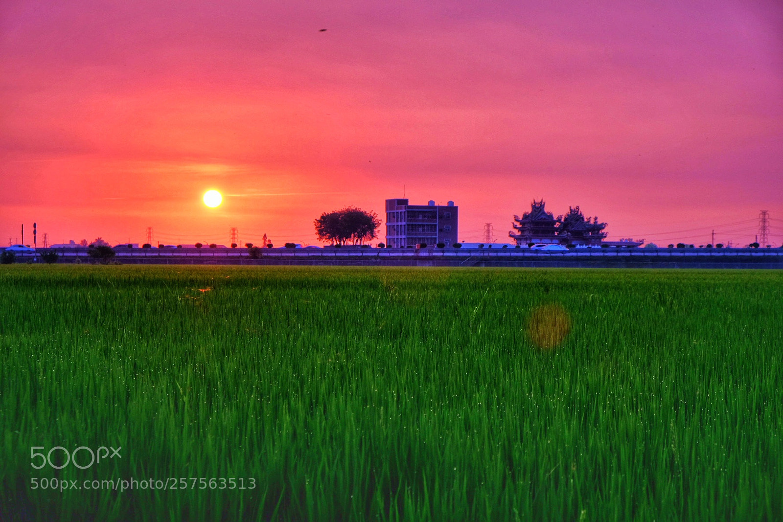 Fujifilm X-E3 sample photo. Paddy with sunset . photography