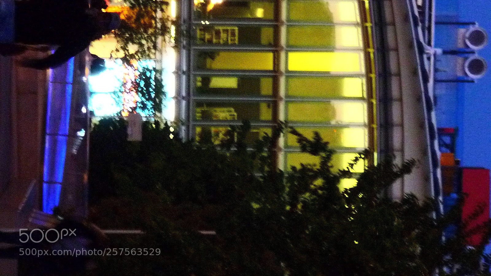 Panasonic Lumix DMC-TZ5 sample photo. Edit photography