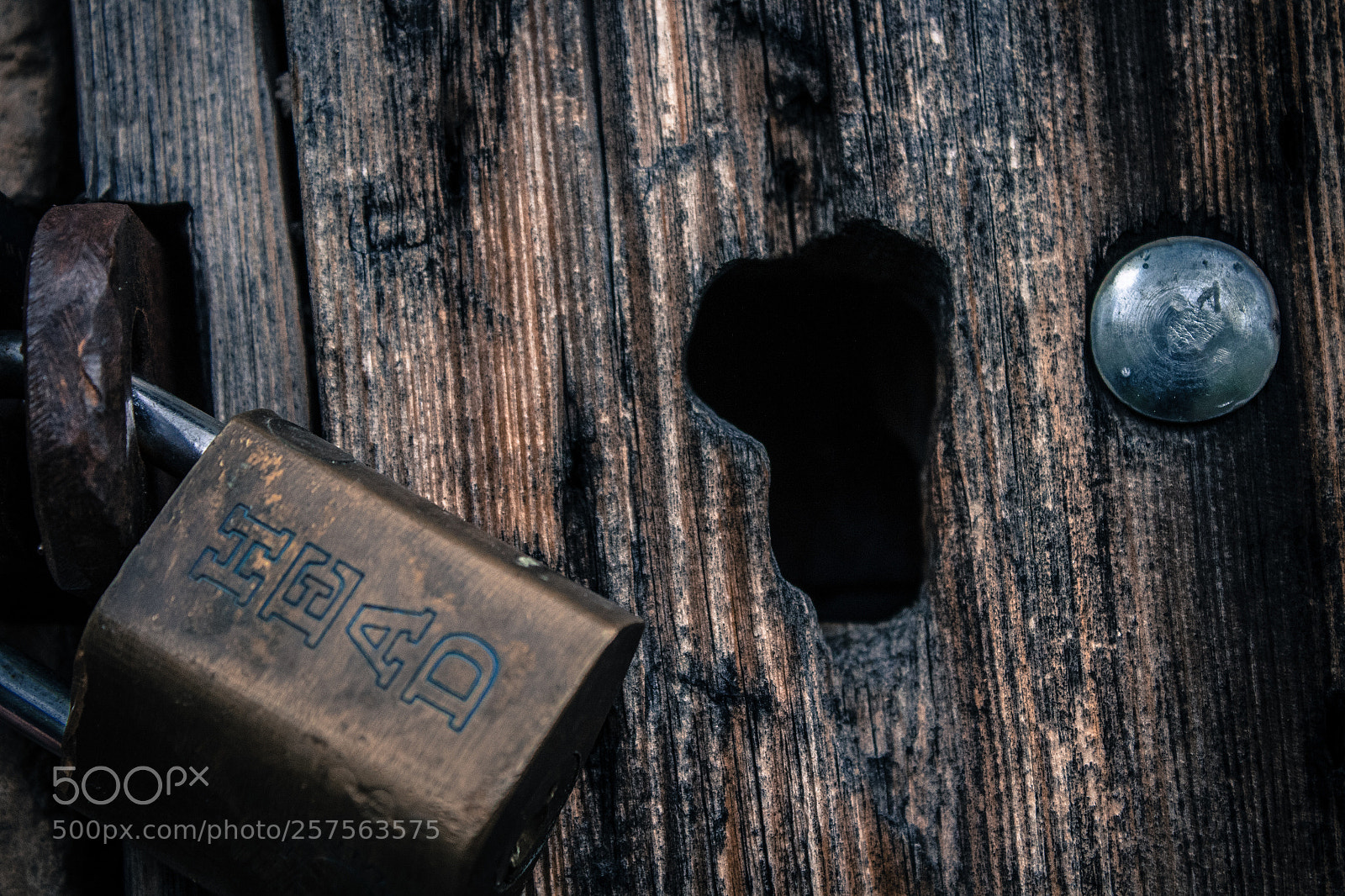 Canon EOS 1300D (EOS Rebel T6 / EOS Kiss X80) sample photo. Wood and metal photography