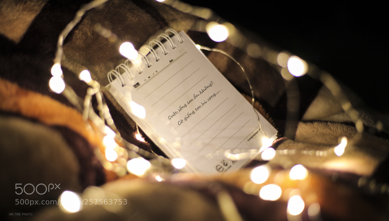 Canon EOS 5D Mark II sample photo. 1.jpg photography