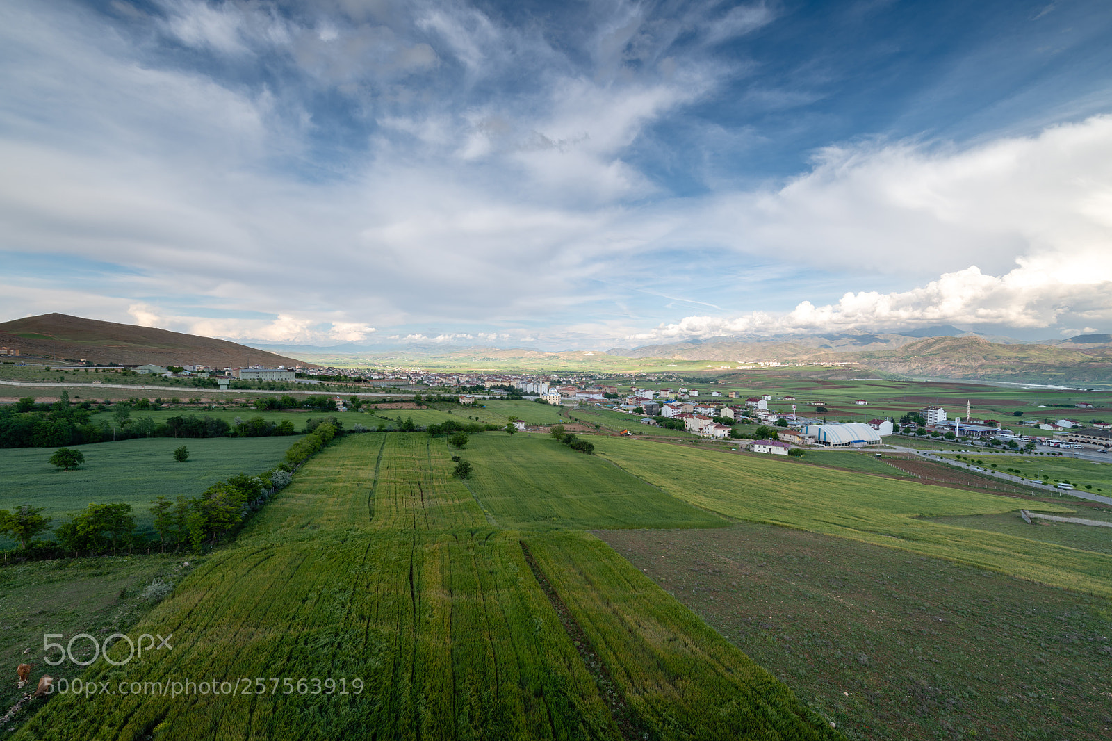Nikon D850 sample photo. Green kovancılar photography