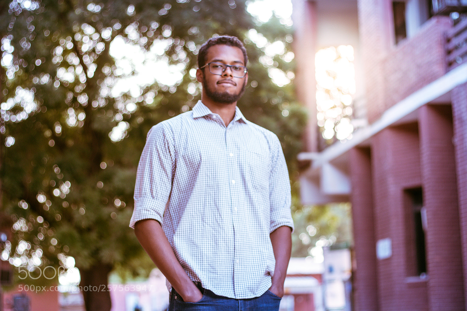 Canon EOS 70D sample photo. Bokeh photography