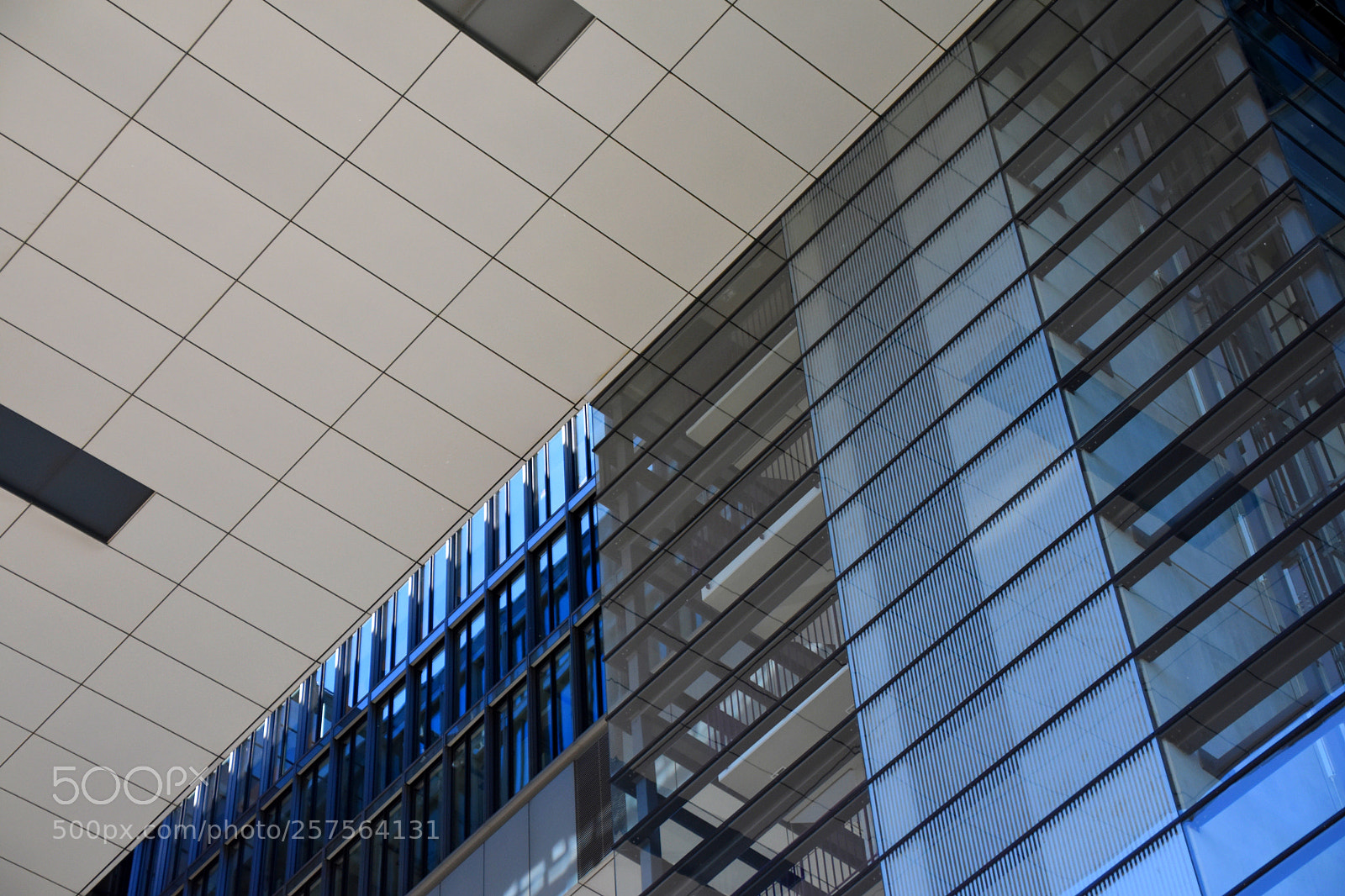 Nikon D3400 sample photo. Glass photography