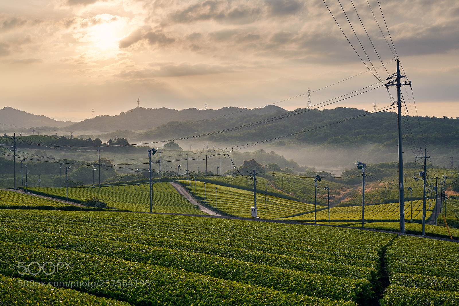 Nikon D850 sample photo. . photography