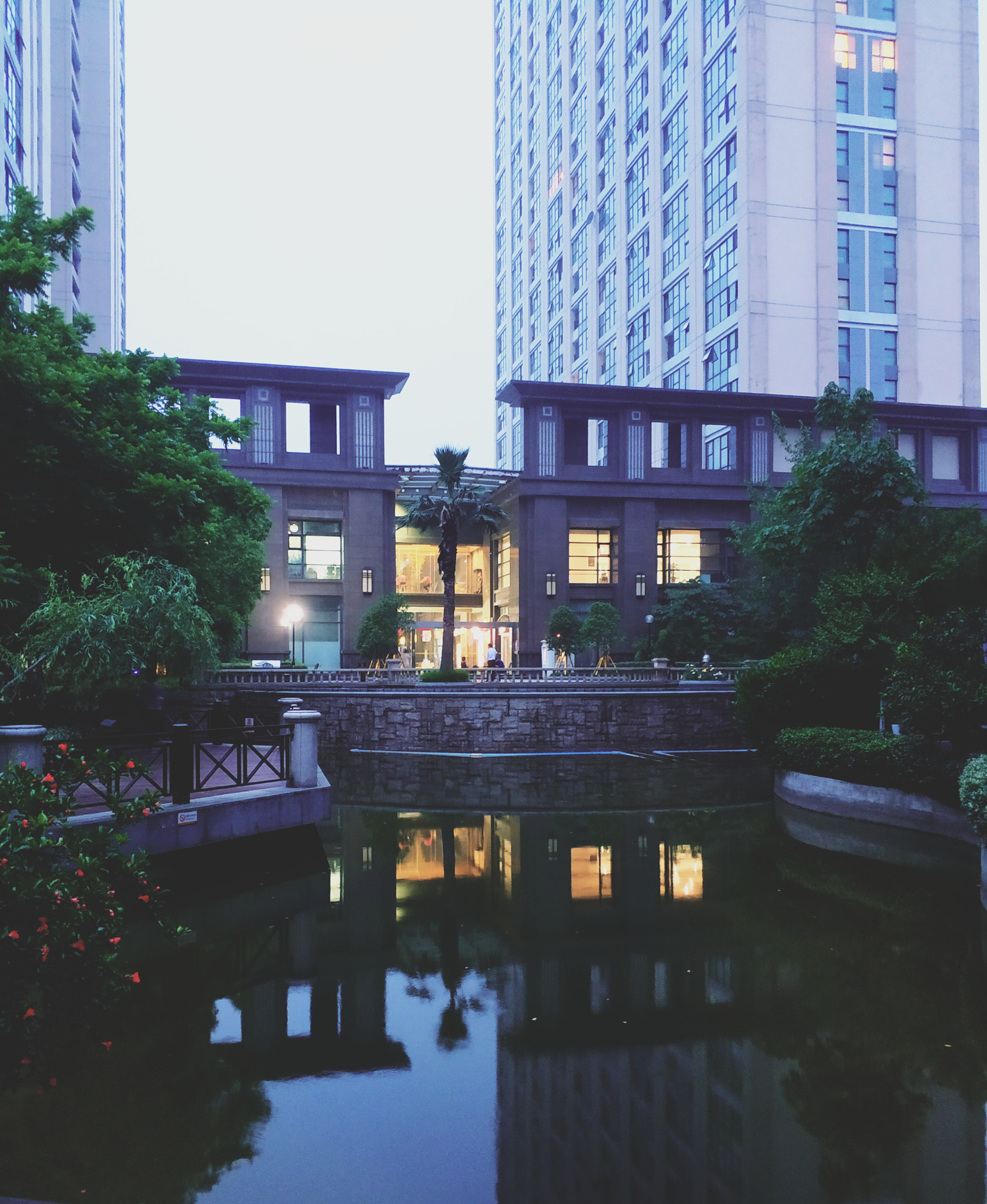 Xiaomi MI6 sample photo. Z photography
