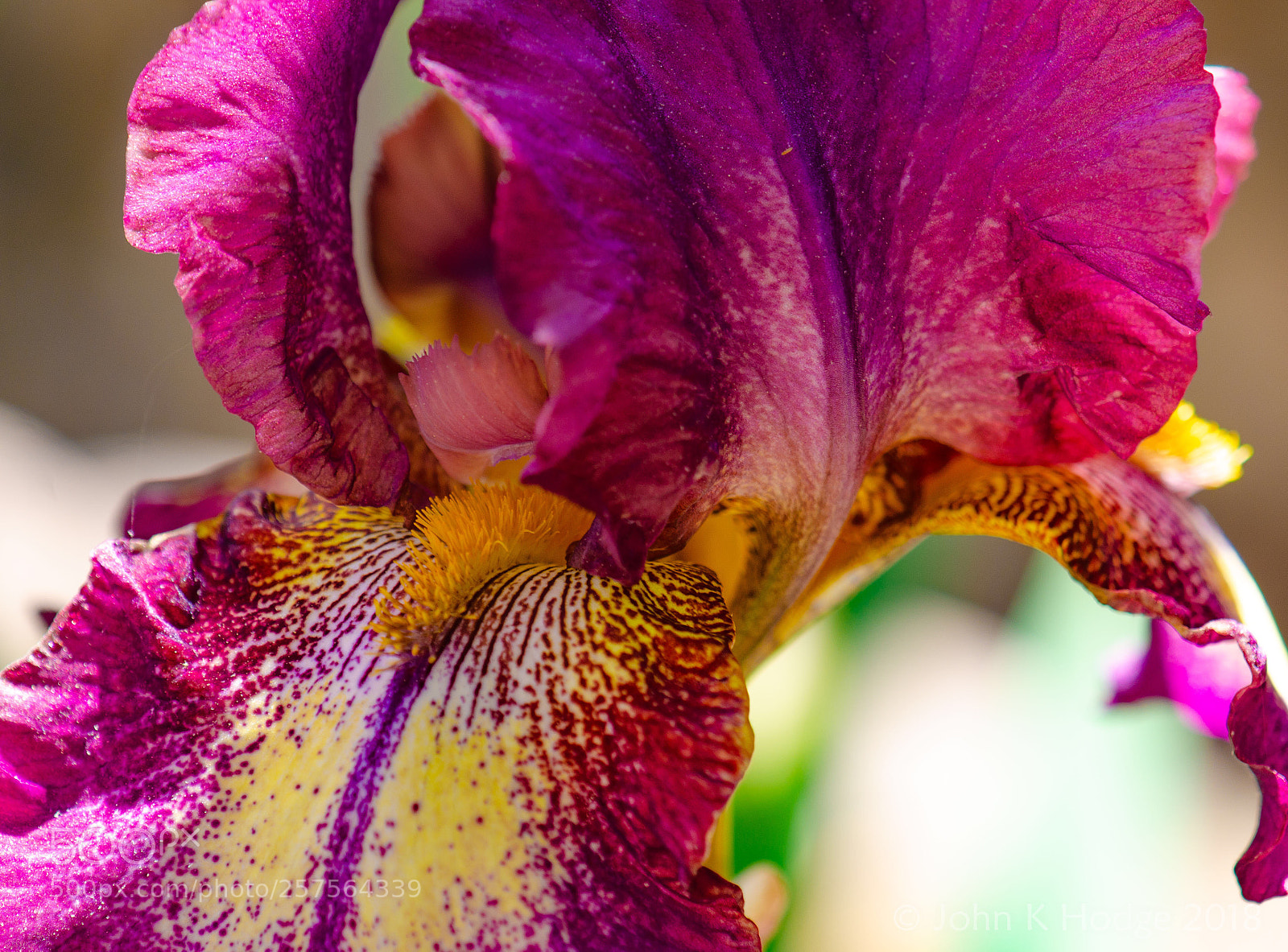 Nikon D7000 sample photo. Untitled photography