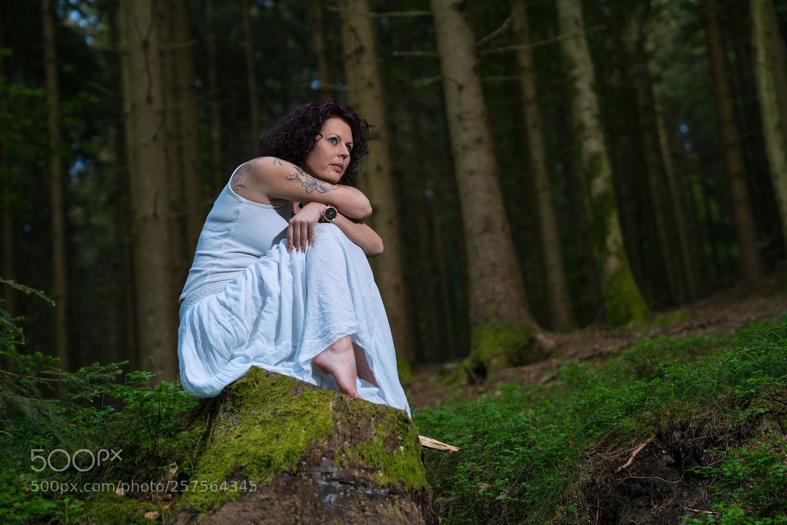 Sony a7R II sample photo. Heike photography
